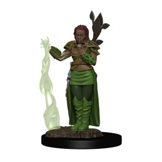 D&amp;D Icons of the Realms Premium Figures: Human Female Druid