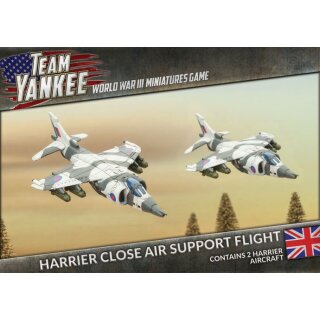 Harrier Close Support Flight (x2 Plastic)