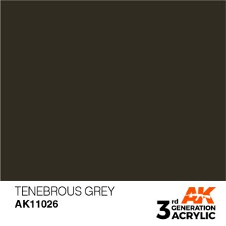 AK Tenebrous Grey (17 ml)