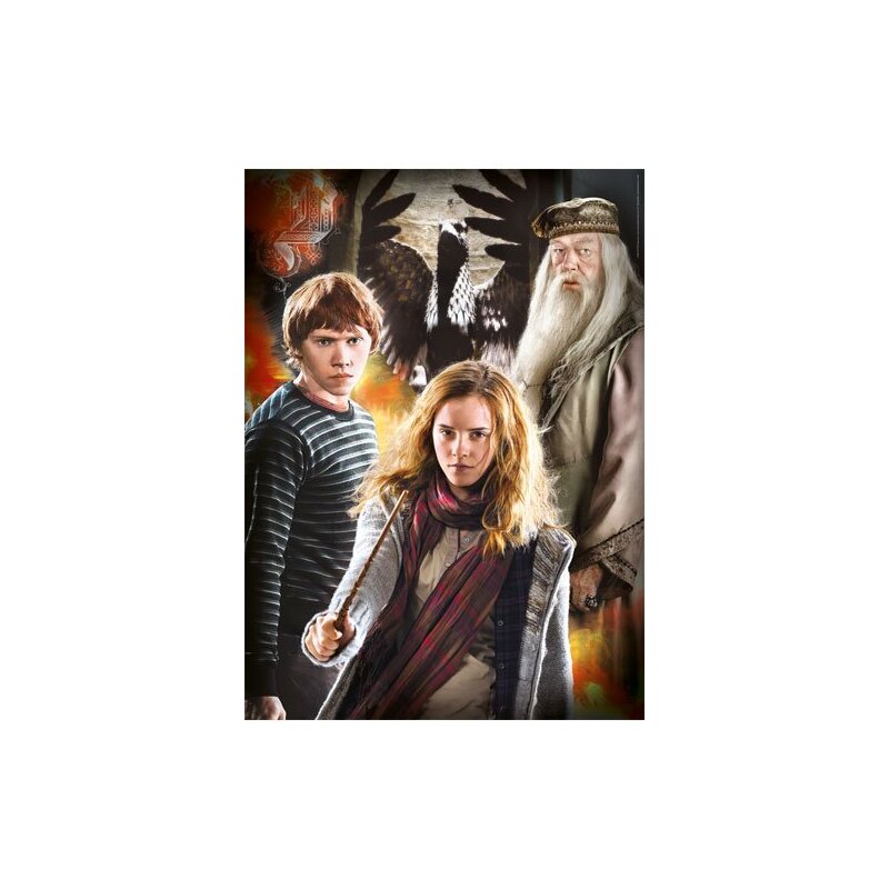 Harry Potter Panorama Puzzle Characters 1000 Teile 