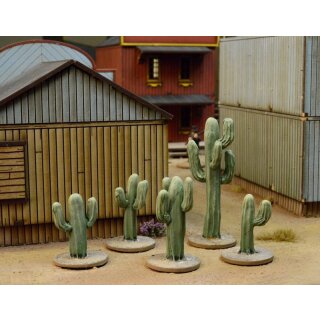 Cacti (5)