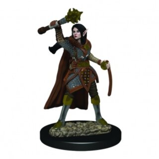 Miniatures x2 Dungeons & Dragons Cleric of Lathander D&D 