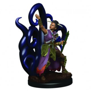 D&amp;D Icons of the Realms Premium Figures: Female Human Warlock