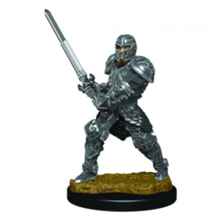 D&amp;D Icons of the Realms Premium Figures: Male Human Fighter