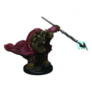 D&amp;D Icons of the Realms Premium Figures: Male Tortle Monk