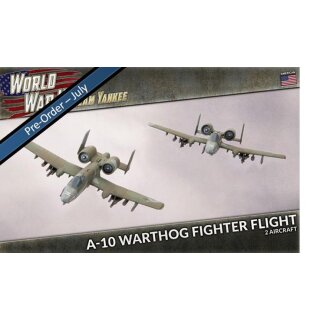 A-10 Warthog Fighter Flight (2)