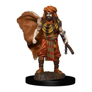 D&amp;D Icons of the Realms: Premium Painted Figure - Human Druid Male