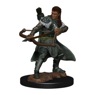 D&amp;D Icons of the Realms: Premium Painted Figure - Human Ranger Male