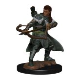 D&amp;D Icons of the Realms: Premium Painted Figure -...