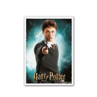 Dragon Shield Matte Art Sleeves - WizardingWorld - Harry Potter (100)