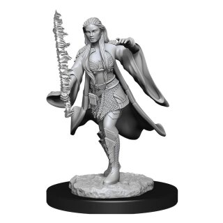 D&d Nolzurs Marvelous Unpainted Miniatures Female Multiclass Warlock Sorcerer for sale online 