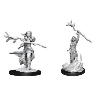 D&amp;D Nolzurs Marvelous Miniatures - Human Druid Female
