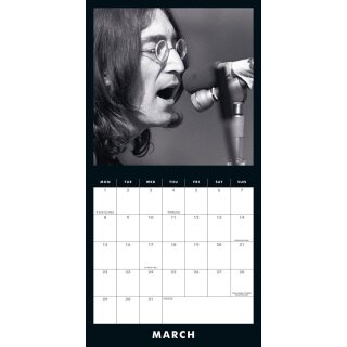 Danilo Calendar - The Beatles Collectors Edition Record Sleeve (EN)