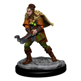 D&amp;D Icons of the Realms Premium Figures: Human Ranger Female
