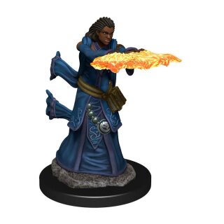 D&amp;D Icons of the Realms Premium Figures: Human Wizard Female