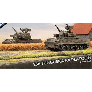 2S6 Tunguska AA Platoon (2) (EN)