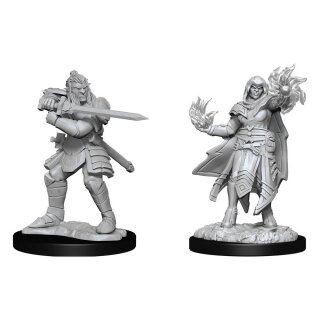 D&amp;D Nolzurs Marvelous Miniatures: Hobgoblin Fighter Male &amp; Hobgoblin Wizard Female (2)