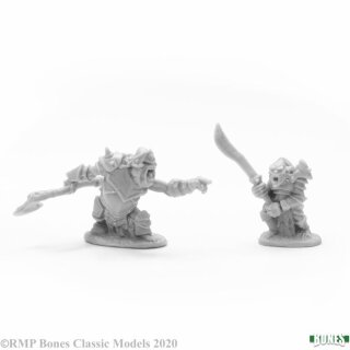 Armored Goblins Leaders (2)