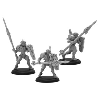 Warcaster Iron Star Alliance Squad - Paladin Defenders (metal) (EN)