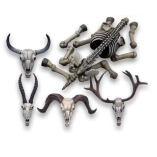 Animal Skulls &amp; Skeletons 1/35