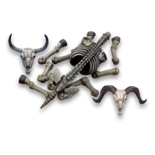 Animal Skulls &amp; Skeletons 1/48