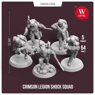 Crimson Legion Shock Squad (5)