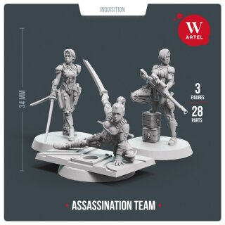 Assassination Team (3)