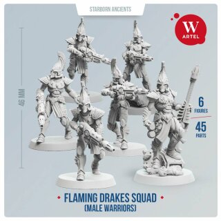 Flaming Drakes Squad (male warriors) (6)