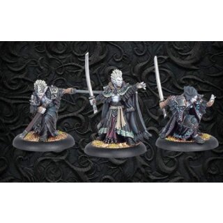 Legion of Everblight Blackfrost Shard Character Unit (3) 73052
