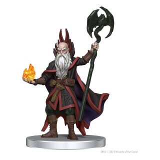 Dungeon &amp; Dragons Icons of the Realms Set 20 The Wild Beyond the Witchlight Starter Set 2