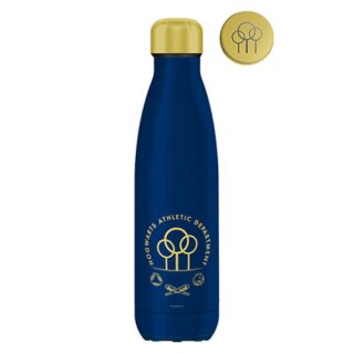 Harry Potter Insulated bottle - Quidditch