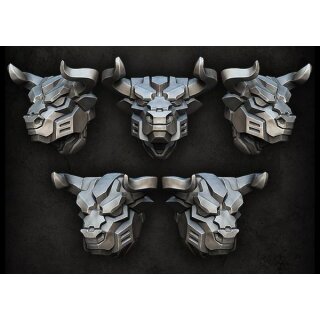 Bull Helmets (5)