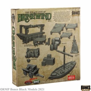 Pirate City of Brinewind Box Set