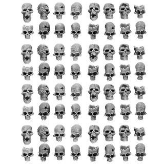 Human Skulls (64)