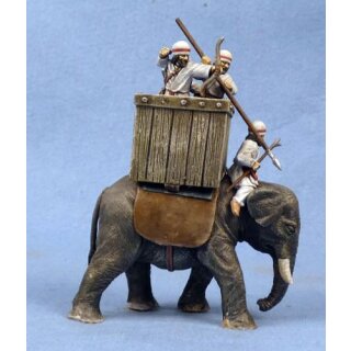 SAGA: Sassanid Elephant