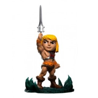 Masters of the Universe He-Man MiniCo