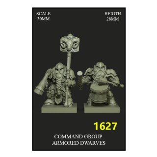 Command Group Armored Dwarves (2)