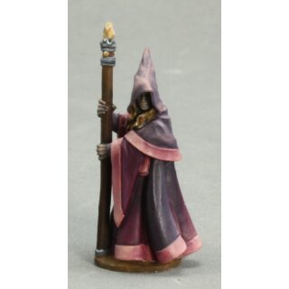 Anirion, Wood Elf Wizard (REA03491)