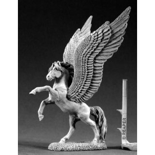 Greycloud, Pegasus (REA02065)
