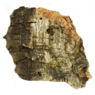 Medium Cork Bark