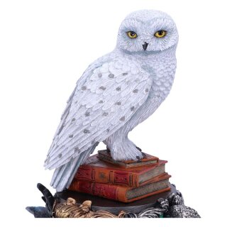 Harry Potter Figur Hedwig 22 cm
