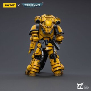 Warhammer 40k Actionfigur: Imperial Fists Heavy Intercessors 02