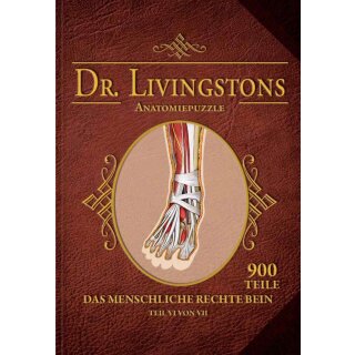 Dr. Livingstons Anatomiepuzzle: Das rechte Bein Teil 6 (DE)