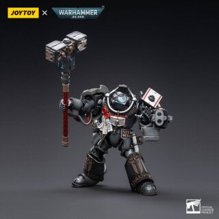Warhammer 40k Actionfigur 1/18 Grey Knights Terminator Caddon Vibova 13 cm