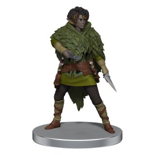 D&amp;D Icons of the Realms: Dragonlance - Warrior Set (6) (Pre-Painted)