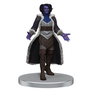 Critical Role - The Tombtakers Boxed Set (Prepainted)