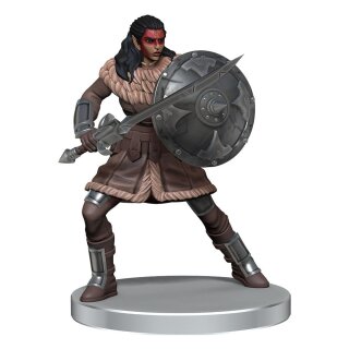 Critical Role - The Tombtakers Boxed Set (Prepainted)