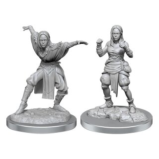 Pathfinder Battles Deep Cuts Miniaturen: Half-Elf Monk Female (unpainted) (2)