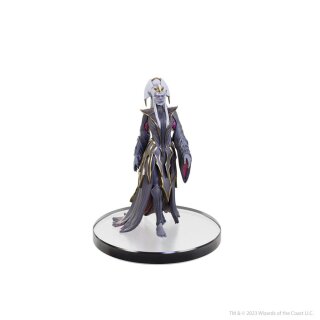 D&amp;D The Legend of Drizzt 35th Anniversary Miniaturen - Family &amp; Foes Boxed Set (Prepainted)