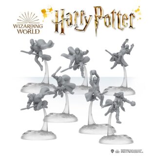 Harry Potter: Catch the Snitch - National Quidditch Team Expansion (EN)